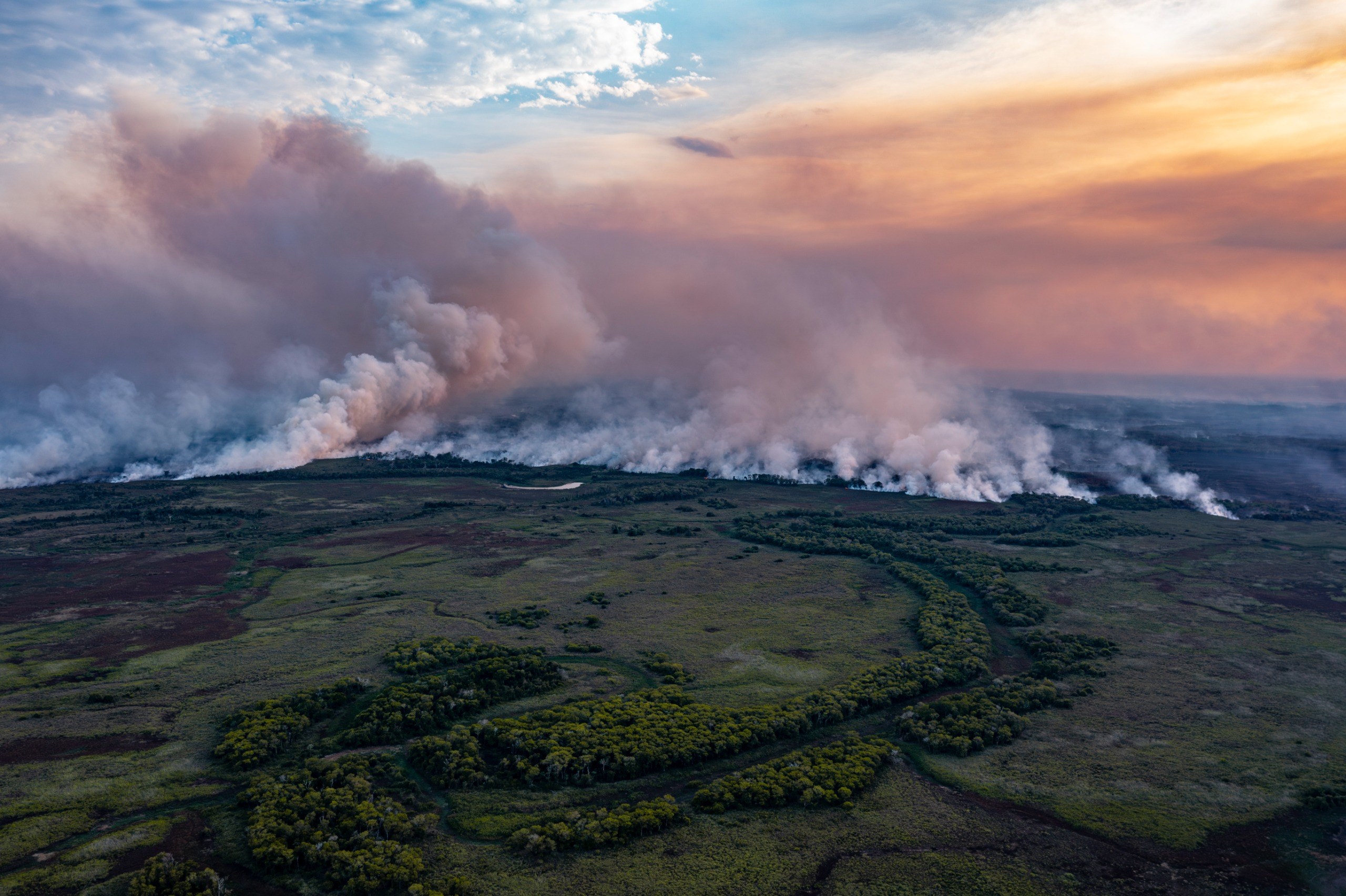 EU supply chains drive deforestation in biodiversity hotspot as major fires spread: EJF report