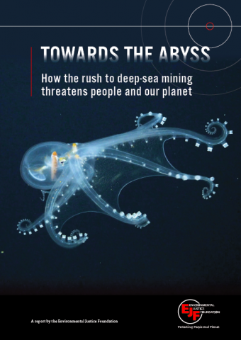 „Towards The Abyss“: Wie Tiefseebergbau unseren Planeten und Menschenrechte bedroht